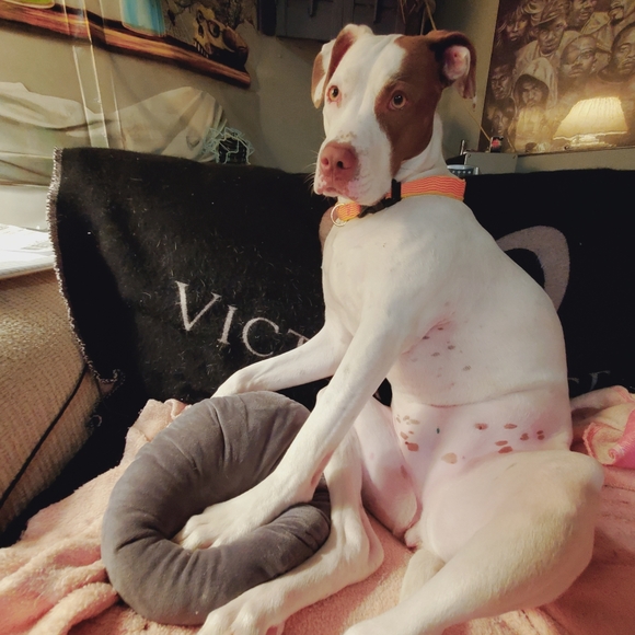 Meet your Posher, Monica aka  M.C.Hu$.T.L.eCity - Picture 7 of 16